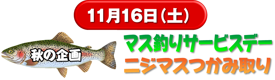 青根キャンプ場 神奈川 相模原 道志川のキャンプ場 バーベキュー 川遊び 釣りなど